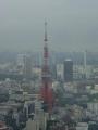 六本木ヒルズ森ビルからの東京タワー