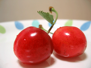さくらんぼ,サクランボ,桜桃,おうとう,オウトウ,cherry