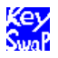 20070920_keyswap.gif